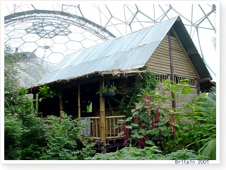 ���}�E�J���|��