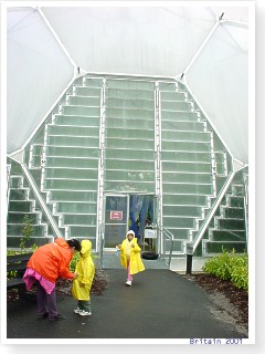 �傫�ȃp�l��