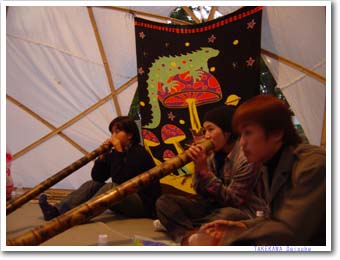 �X�^�[�h�[���ƃf�B�W�����h�D