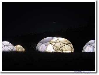 �X�^�[�h�[��