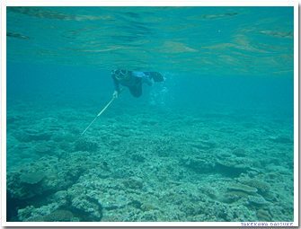 ���\���z