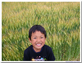 �G���[�V�����R���g���[��