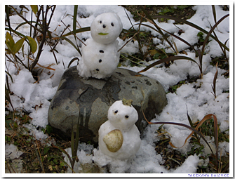 �G���[�V�����R���g���[��