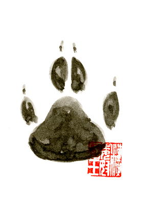 ���̑��`�͖{�����낤���B�V���v���ȃf�U�C����ǋ�����B