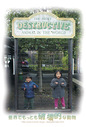 �����h���������Ō����A�����Ƃ��j��I�ȓ����B�j��̎��オ�n�܂�B