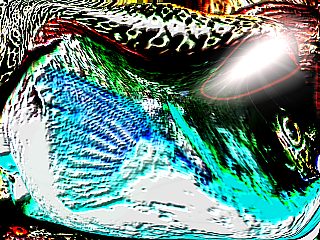 �����Ȃ�̋�